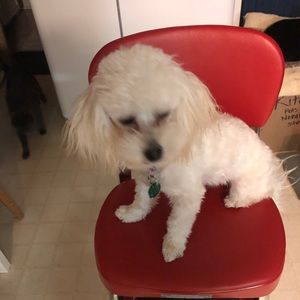 Meet your Posher, Rhonda